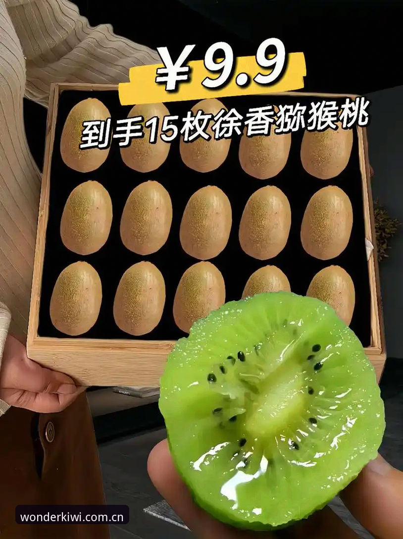 奇异果体育安装包评测 资深用户分享:奇异果体育安装包评测实战经验,新手必看的使用心得