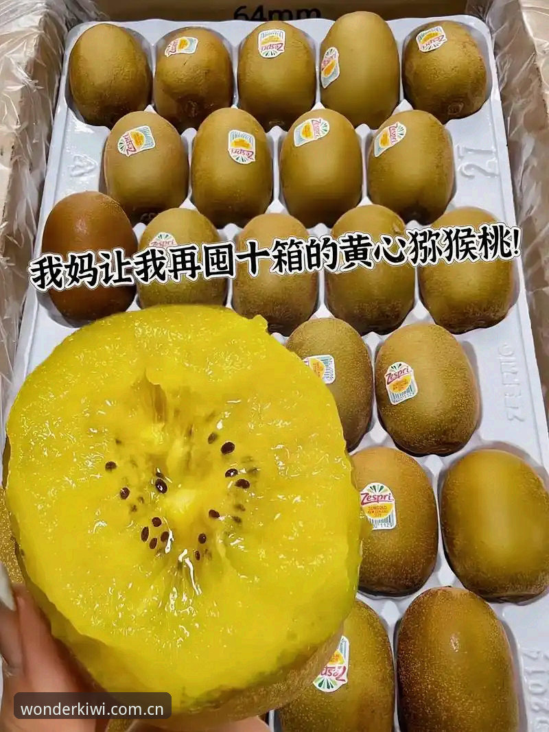 奇异果体育安装包评测 资深用户分享:奇异果体育安装包评测实战经验,新手必看的使用心得