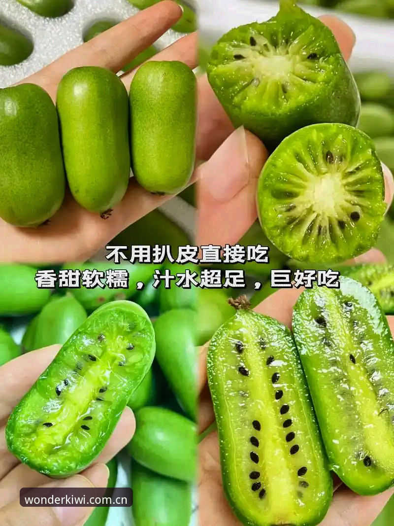 资深用户分享：奇异果体育实时数据下载不了怎么办？我的实战解决心得