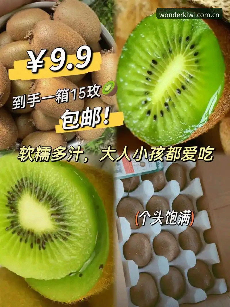 奇异果体育安全吗 奇异果体育安全性深度分析:从数据加密到用户反馈的全面解析